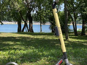 bees-scooters-fec3f8-12.jpg