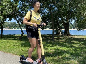 bees-scooters-fec3f8-13.jpg