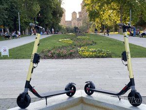 bees-scooters-fec3f8-18.jpg
