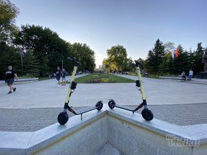 bees-scooters-fec3f8-19.jpg