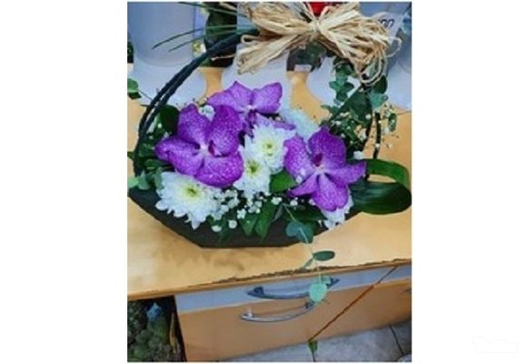 Korpa - margarete i vanda orhideje