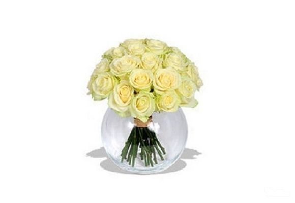 Bidermajer (bele ruže)