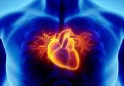 Kardiološki paket: EKG + pregled kardiologa + merenje krvnog pritiska + ultrazvuk srca sa color doplerom + gratis dopler trbušne aorte