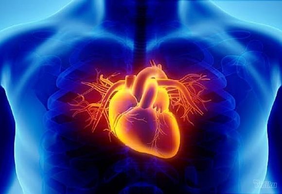 Kardiološki paket: EKG + pregled kardiologa + merenje krvnog pritiska + ultrazvuk srca sa color doplerom + gratis dopler trbušne aorte