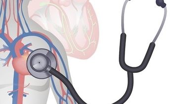 Pregled specijaliste interne medicine + UZ srca ili UZ abdomena ili dopler vrata