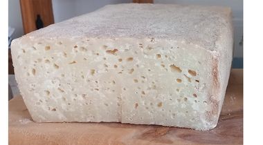 Tvrdi punomasni kozji sirevi stari oko 6 meseci