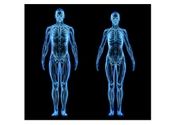 Pregled koštane strukture i spinalnih nerava kičme biorezonatnom metodom 30 min + terapeutska masaža 30 min