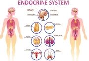 Pregled endokrinologa