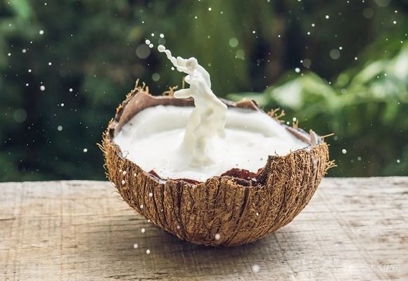 Relax masaža mlekom od kokosa ili čokolade 60 min - HIT CENA!