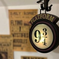 Proslava rođendana do 10 dece, 2,5h Tema: Hari Poter (potraga sa 2 animatora koji su sve svreme sa decom, timska takmičenja, medalje za pobedničku ekipu i poklon za slavljenika/cu)