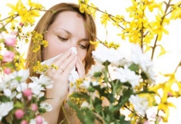Pulmološki paket alergija