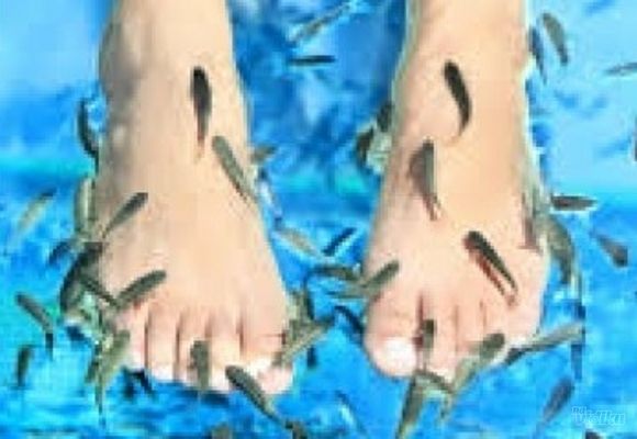 Fish spa + detox napitak