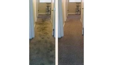 Dubinsko pranje tepiha (po m2)