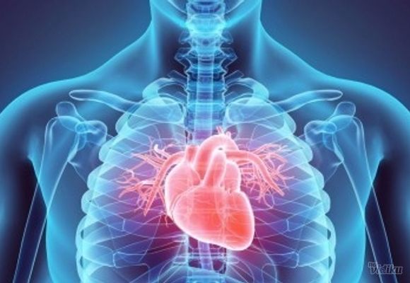 Ultrazvuk srca + dopler krvnih sudova vrata