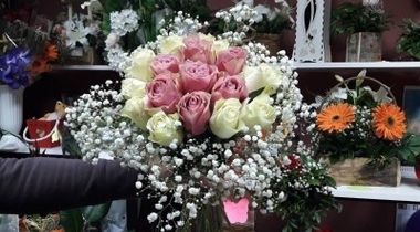 Buket ruža - Bele Atene + roze ruže u dekoraciji sa gipsofilom