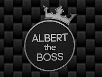 Čišćenje ostava Albert Boss