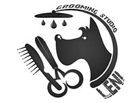 Studio Leni grooming škola