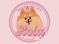 Lola Grooming Spa salon za pse
