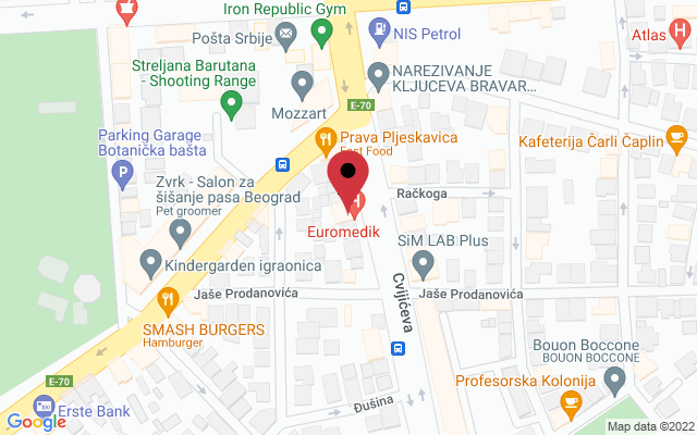 Mapa lokacije firme Euromedik dom zdravlja Palilula