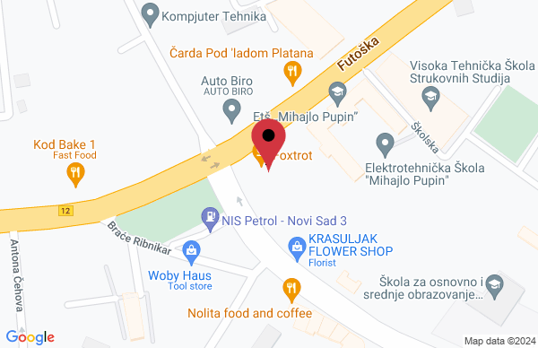 Pet shop DALI