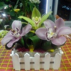 Buket Orhideja - Cvecara Flower party
