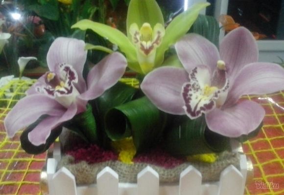 Buket Orhideja - Cvecara Flower party