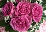 Roze Ruze u kutiji - Cvecara Flower party