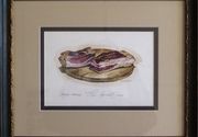 Bojan Stricevic - Akvarel slika Dedina slanina - Galerija Spanac