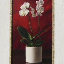 Milan Vasiljević - Ulje na platnu Orhideja - Galerija Španac