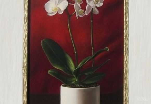 galerija-spanac---milan-vasiljevic---ulje-na-platnu-orhideja.jpg