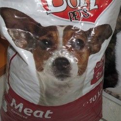 Dolly Pets kompletna suva hrana za odrasle pse sa ukusom mesom