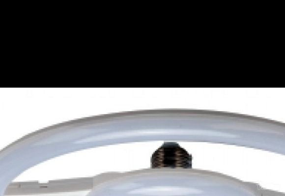 Circular LED sijalica 18W 6500K E27 fi24