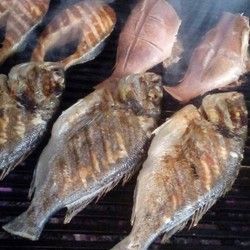 Pečenje ribe - Riba na ćumuru - orada, škarpina, losos - Ribarnica Milanovic - Padina