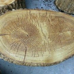 Imitacija drveta od stiropora