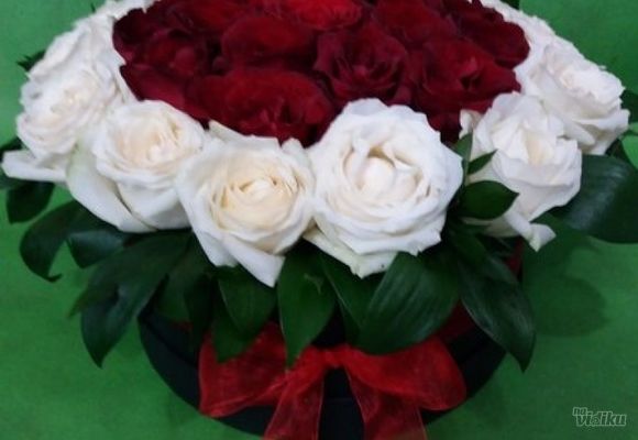 Box-evi sa ružama - 33 ruže, bele i crvene ruže u box-u