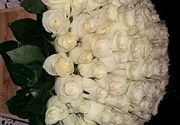 Box-evi sa ružama - 101 bela ruža u kutiji
