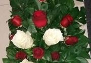 Suze - suza sa crvenim i belim ružama