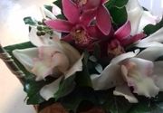 Korpice - drvena korpica sa belim i roze orhidejama