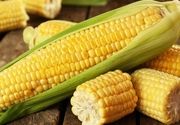Posredovanje pri osiguranju roda kukuruza