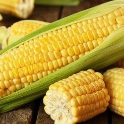 Posredovanje pri osiguranju roda kukuruza