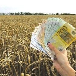 Finansijsko savetovanje za vođenje poljoprivrednog gazdinstva