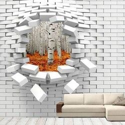 3D Kombinovane Foto Tapete - Rupa u Zidu sa Pogledom na Brezovu Sumu