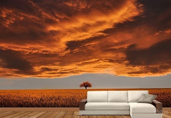 Pejzaži Foto Tapete - Obojeno Nebo