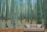 Šume Foto Tapete - Bambusova Suma