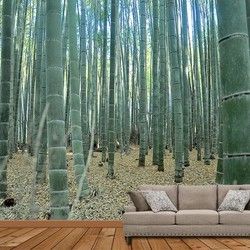 Šume Foto Tapete - Bambusova Suma