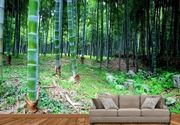 Šume Foto Tapete - Bambus Suma