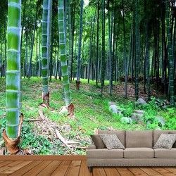 Šume Foto Tapete - Bambus Suma