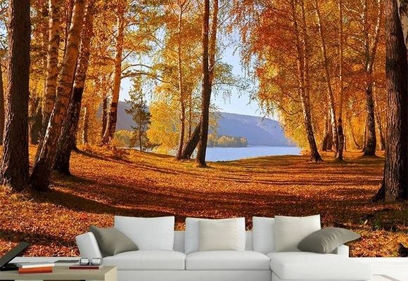 Šume Foto Tapete - Jesen u Sumi