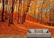 Šume Foto Tapete - Kasna Jesen u Sumi