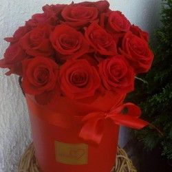 Flower box sa crvenim ruzama
